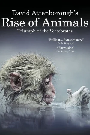 David Attenborough’s Rise of Animals: Triumph of the Vertebrates - David Attenborough's Rise of Animals: Triumph of the Vertebrates (2013)