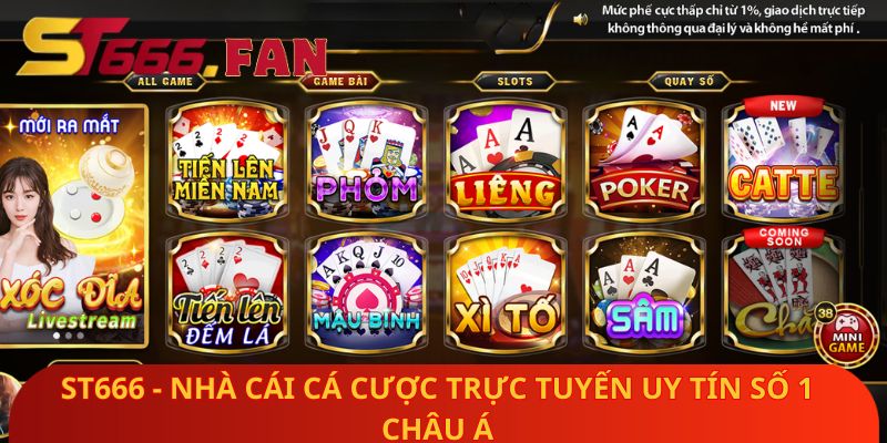 ST666 - Nhà cái cá cược trực tuyến uy tín số 1 châu Á